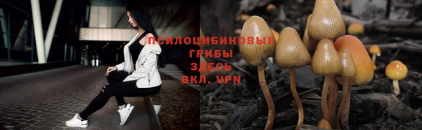 прущая мука Вяземский