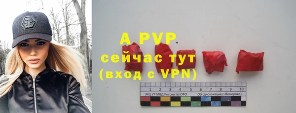 круглые Вязьма
