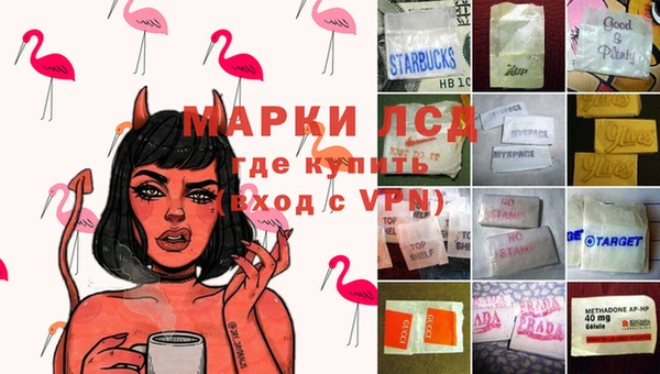 круглые Тайга