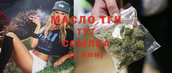 прущая мука Вяземский