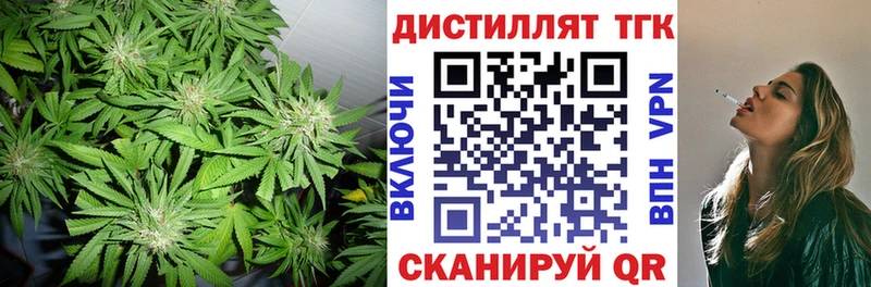 Дистиллят ТГК вейп Дубовка