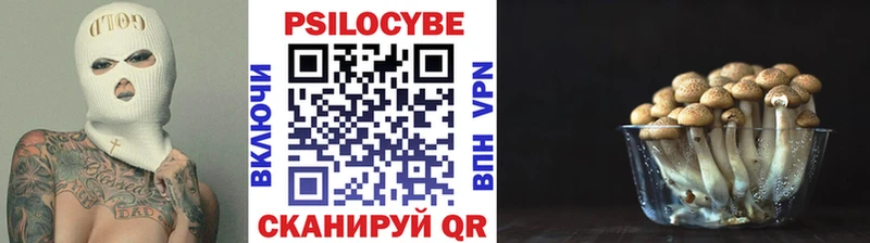Галлюциногенные грибы прущие грибы  Дубовка 